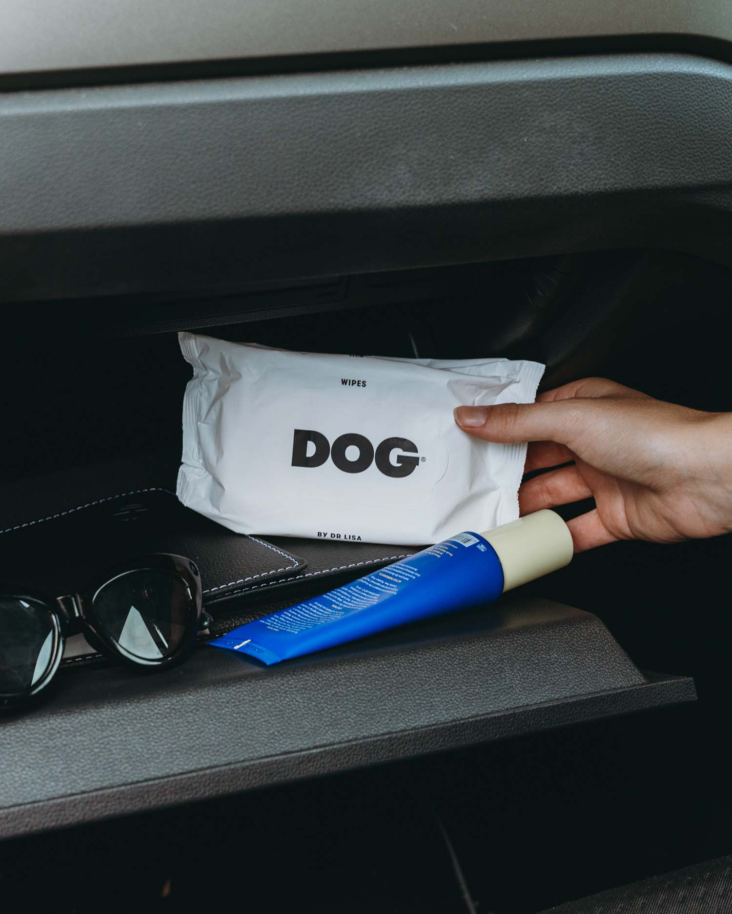DOG Travel Wipes